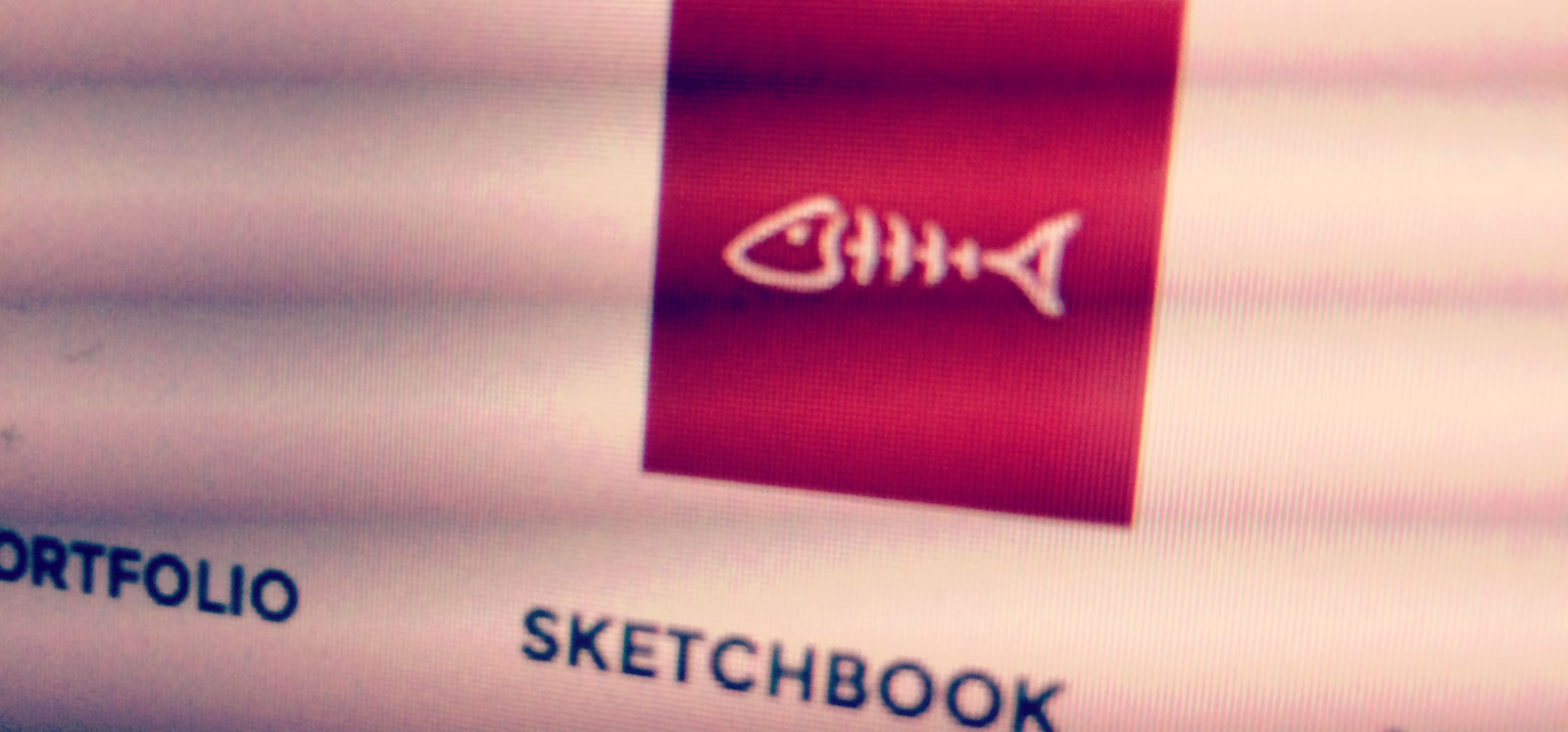 No Anchovies Studios What We Do